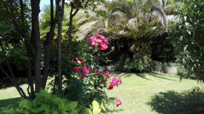 Appartamento giardino sugli ulivi Riva Del Garda
